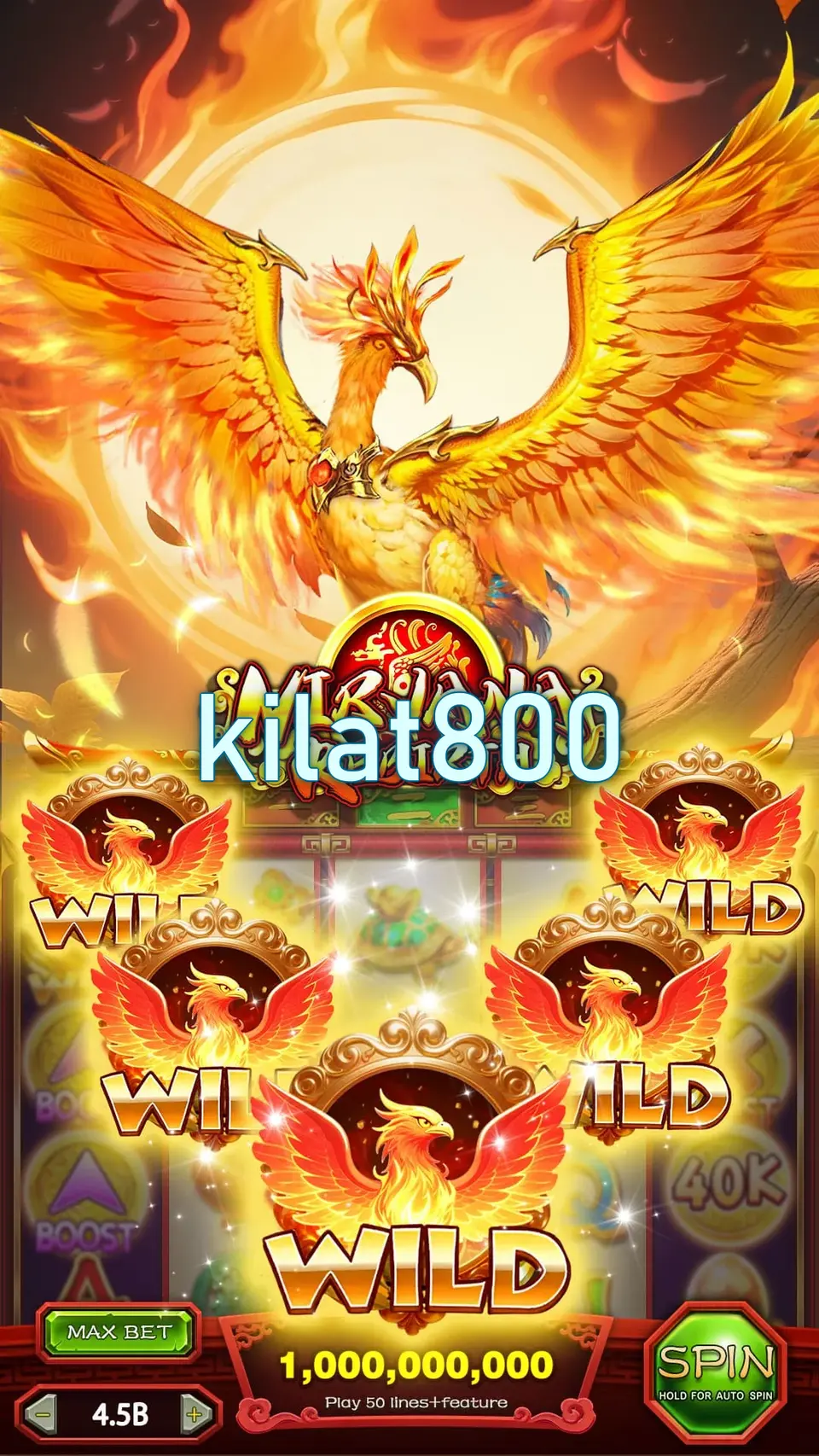 kilat800 Masuk